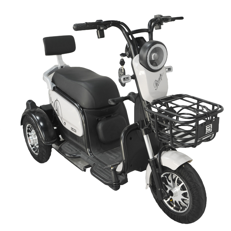 High Quality Model  Three Wheel Electric Trike 600W 48V 20AH Double Seat Electric Tricycle for Adults