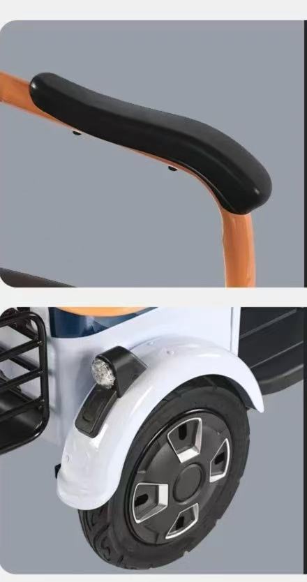 Electric Tricycle 3-Wheeler Scooter 1000W Motor 140km Range for Adults Cargo & Passenger