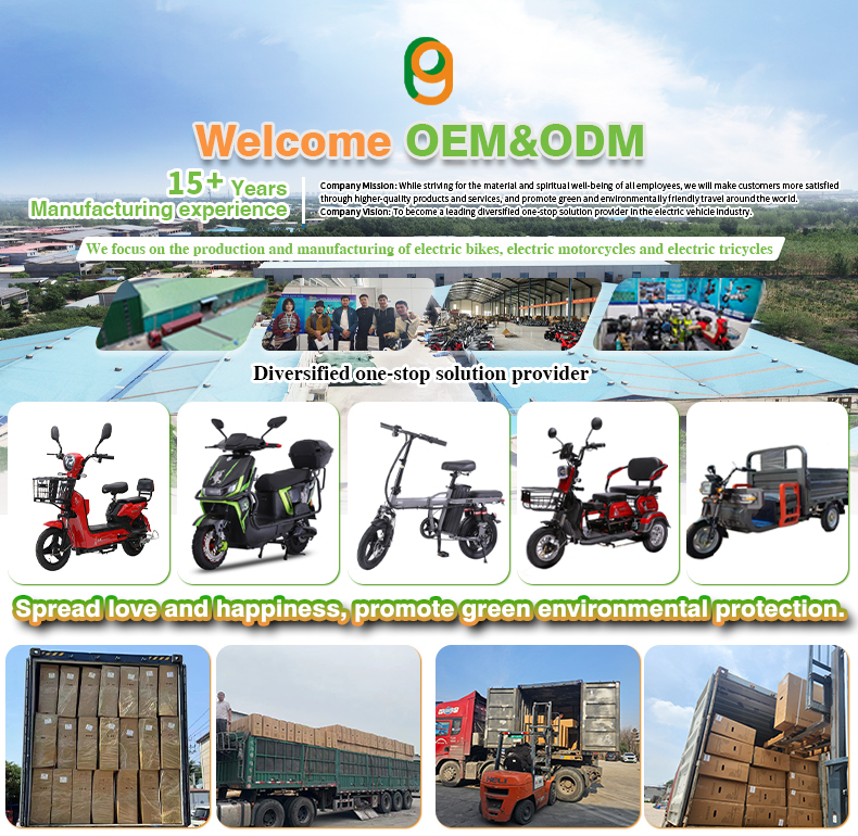 Paige OEM/ODM 1500W 60V 20Ah Heavy-Duty 200kg Load Powerful Motor Scooter Customizable Long Range Electric Motorcycle