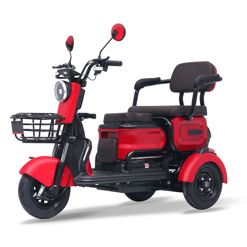 Electric Tricycle Foldable Passenger Trike