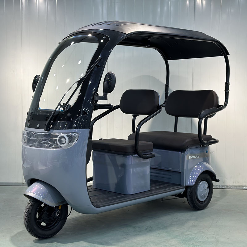 FULIKE Classic Design 3 Wheel Electric Mobility Scooter Trike Tricycle With Roof