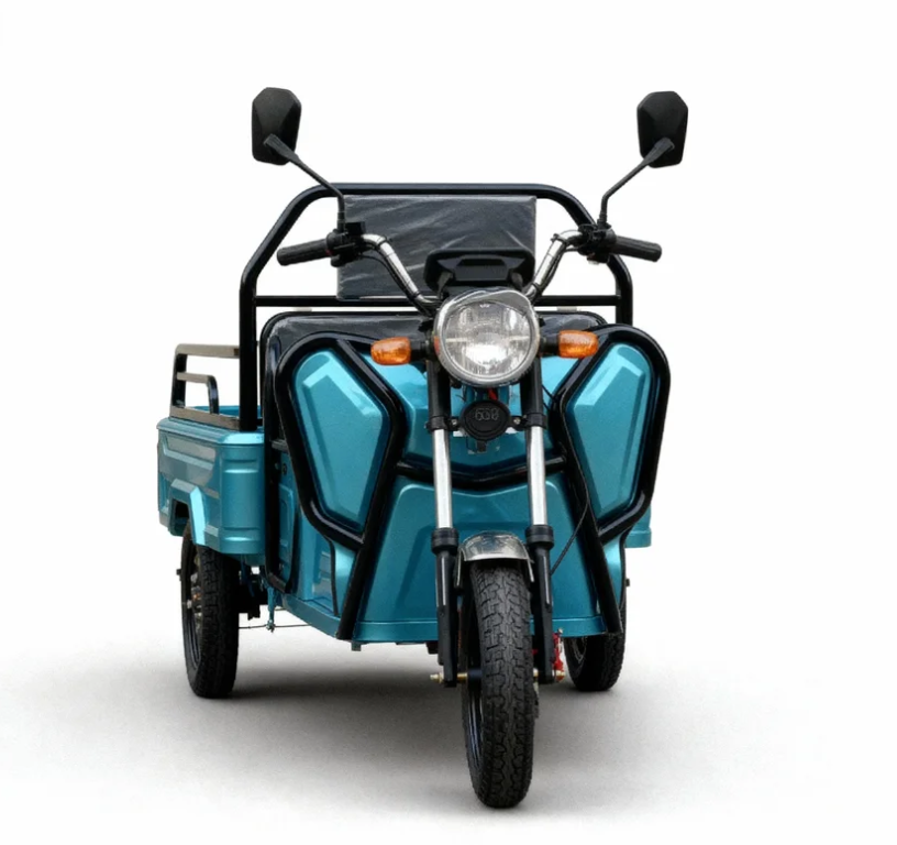 Mini Electric Tricycle