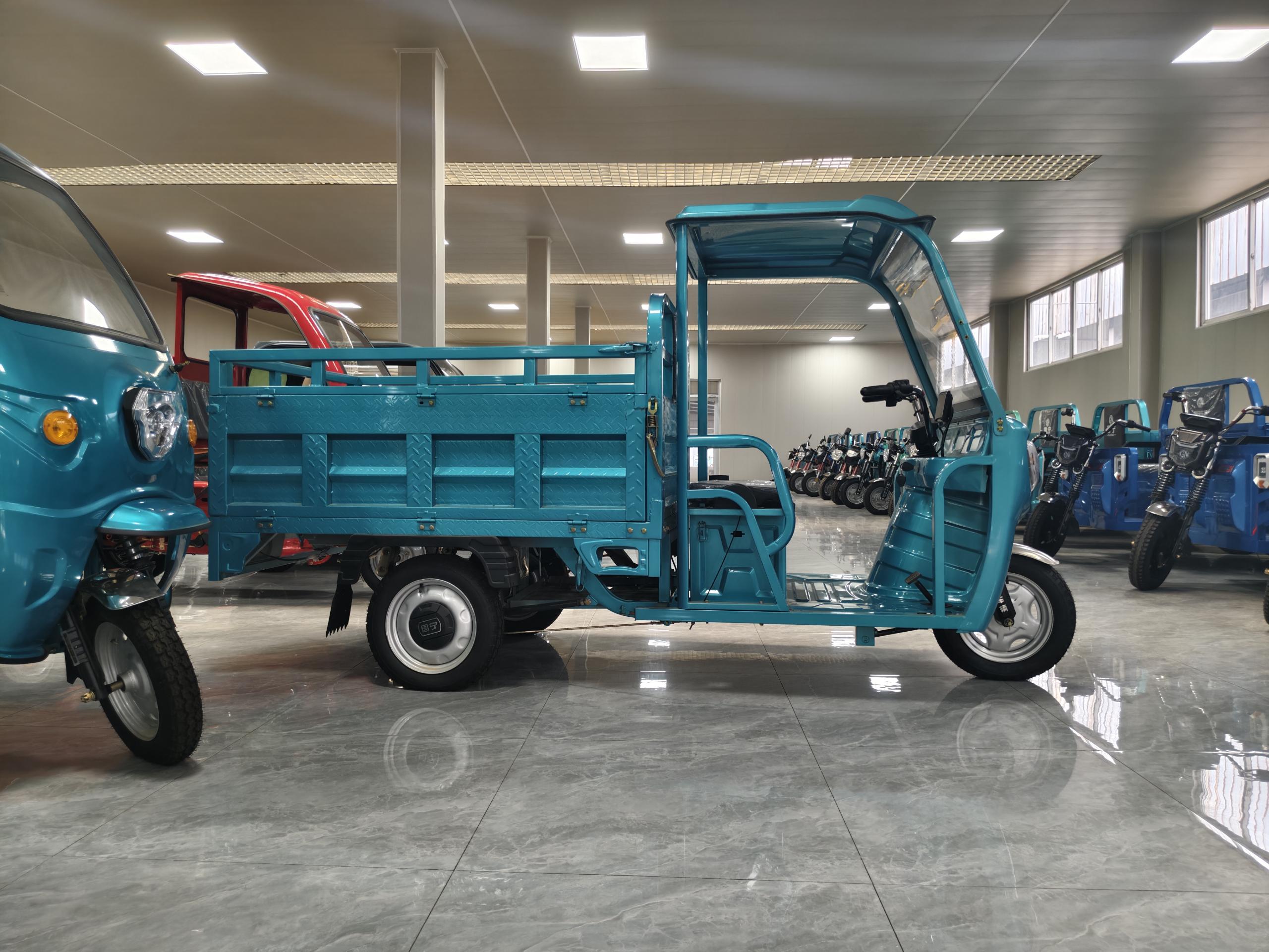Keyu Bulk Purchases Cheap Thickened Cargo Hold 3 Wheel Enclosed 800w Cargo Electric Tricycle