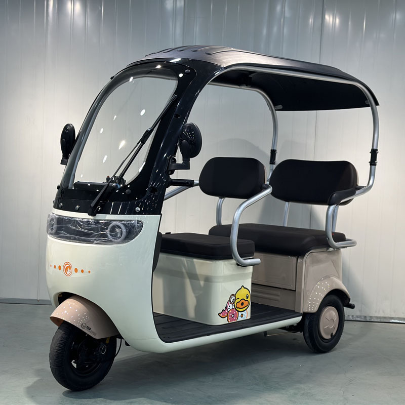 FULIKE Classic Design 3 Wheel Electric Mobility Scooter Trike Tricycle With Roof