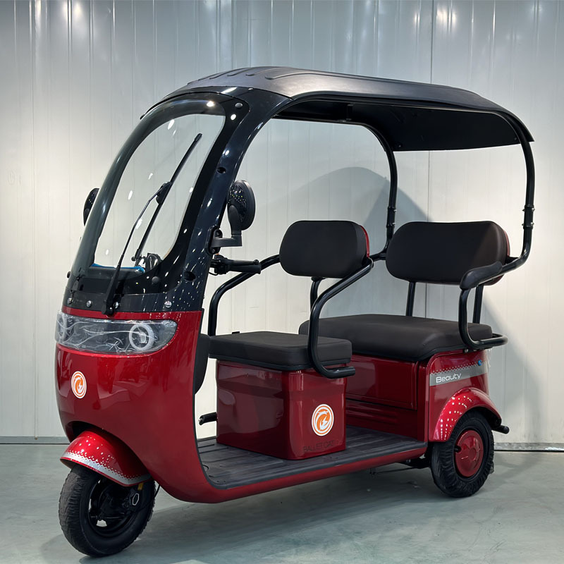 FULIKE Classic Design 3 Wheel Electric Mobility Scooter Trike Tricycle With Roof