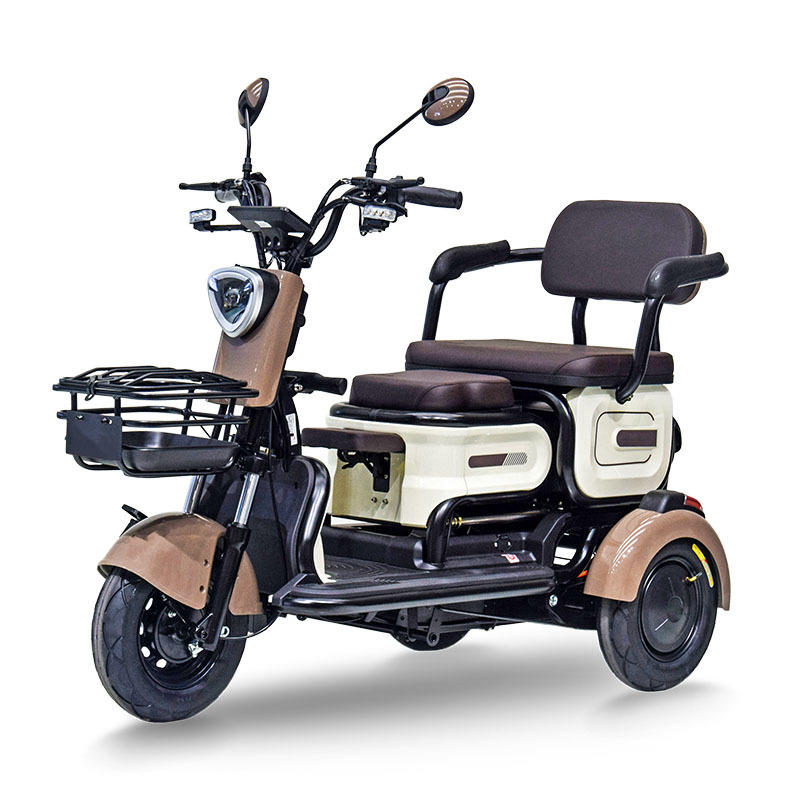 Electric Tricycle Foldable Passenger Trike