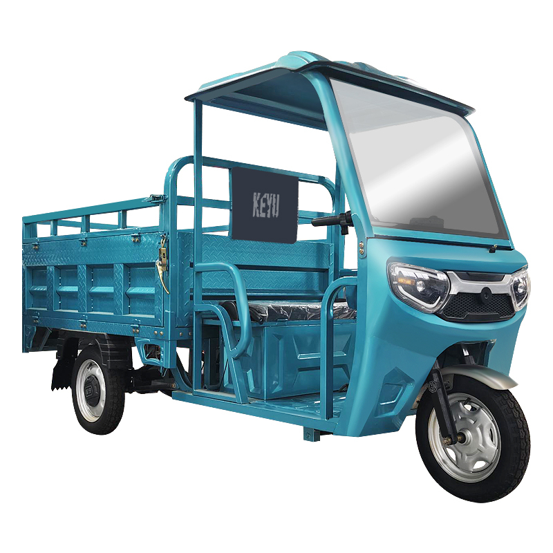 Keyu Bulk Purchases Cheap Thickened Cargo Hold 3 Wheel Enclosed 800w Cargo Electric Tricycle