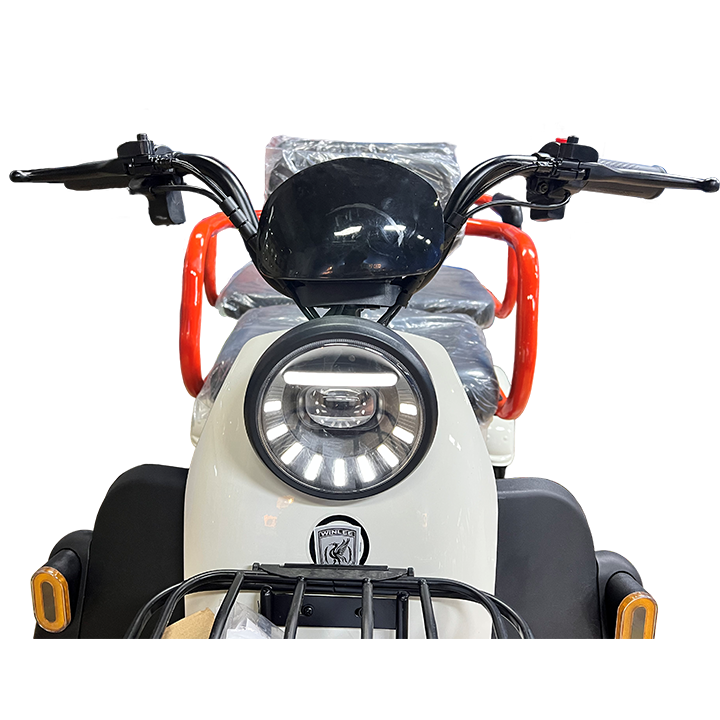 2025 Factory Quality Electric Trike for Adults Modern Style Electric Bicycle with Fat Tire Electric Tricycle