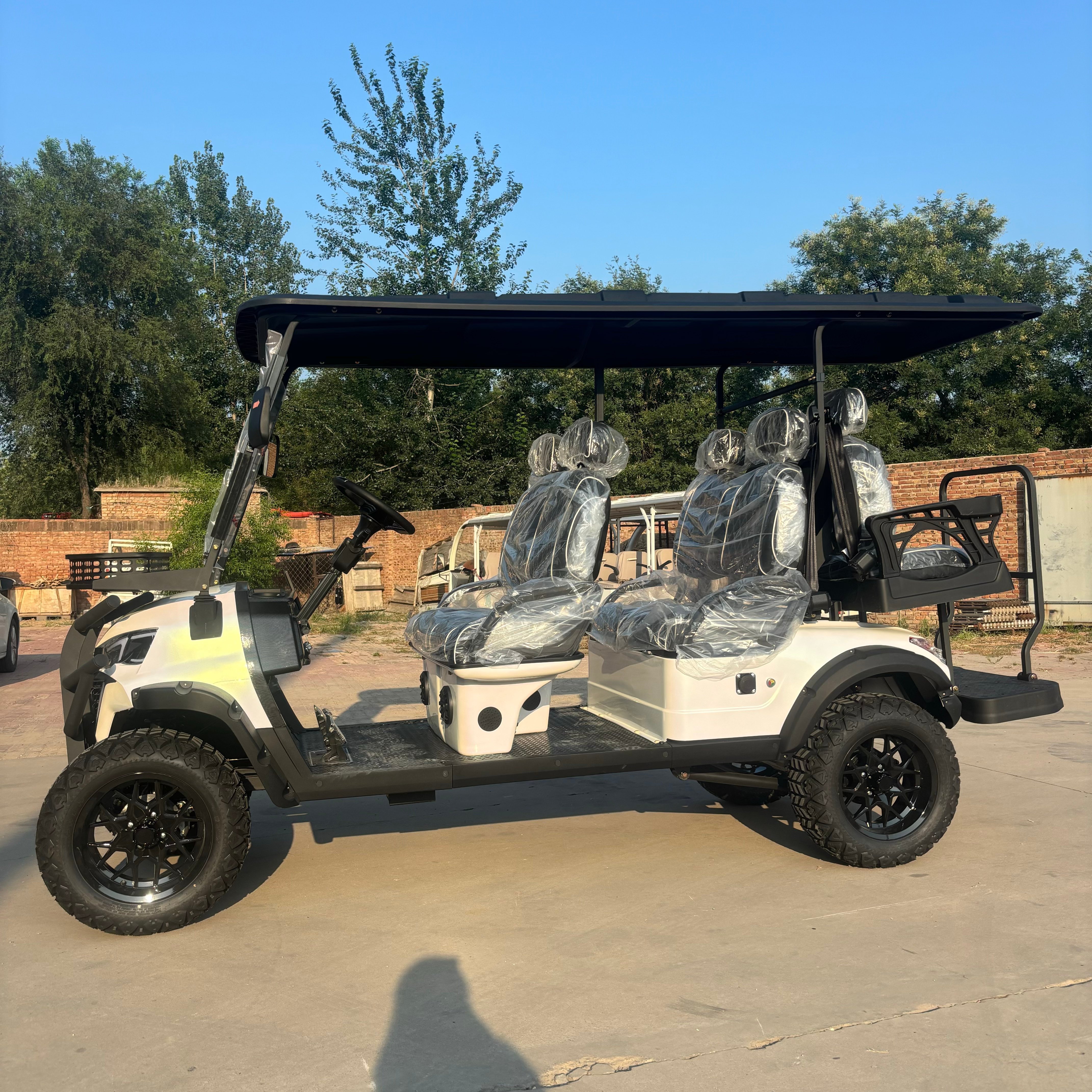 WELIFTRICH 2025 Off-Road Electric Golf Cart 6-Seater Hunting Cart with Lithium Battery