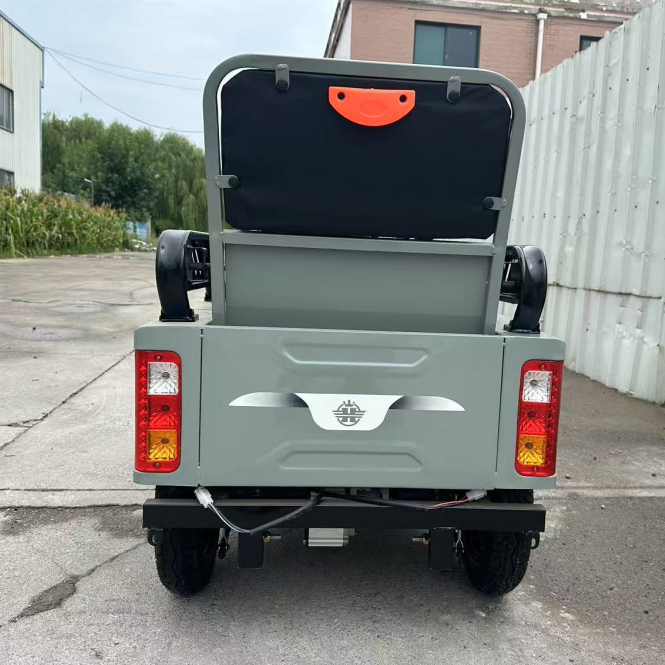 The Newest Big Power Electric Tricycle for Cargo Electric Vehicle for Adults With Best Price