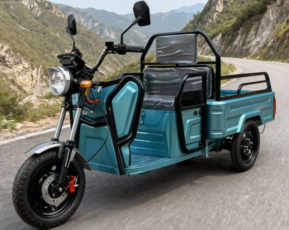 Mini Electric Tricycle