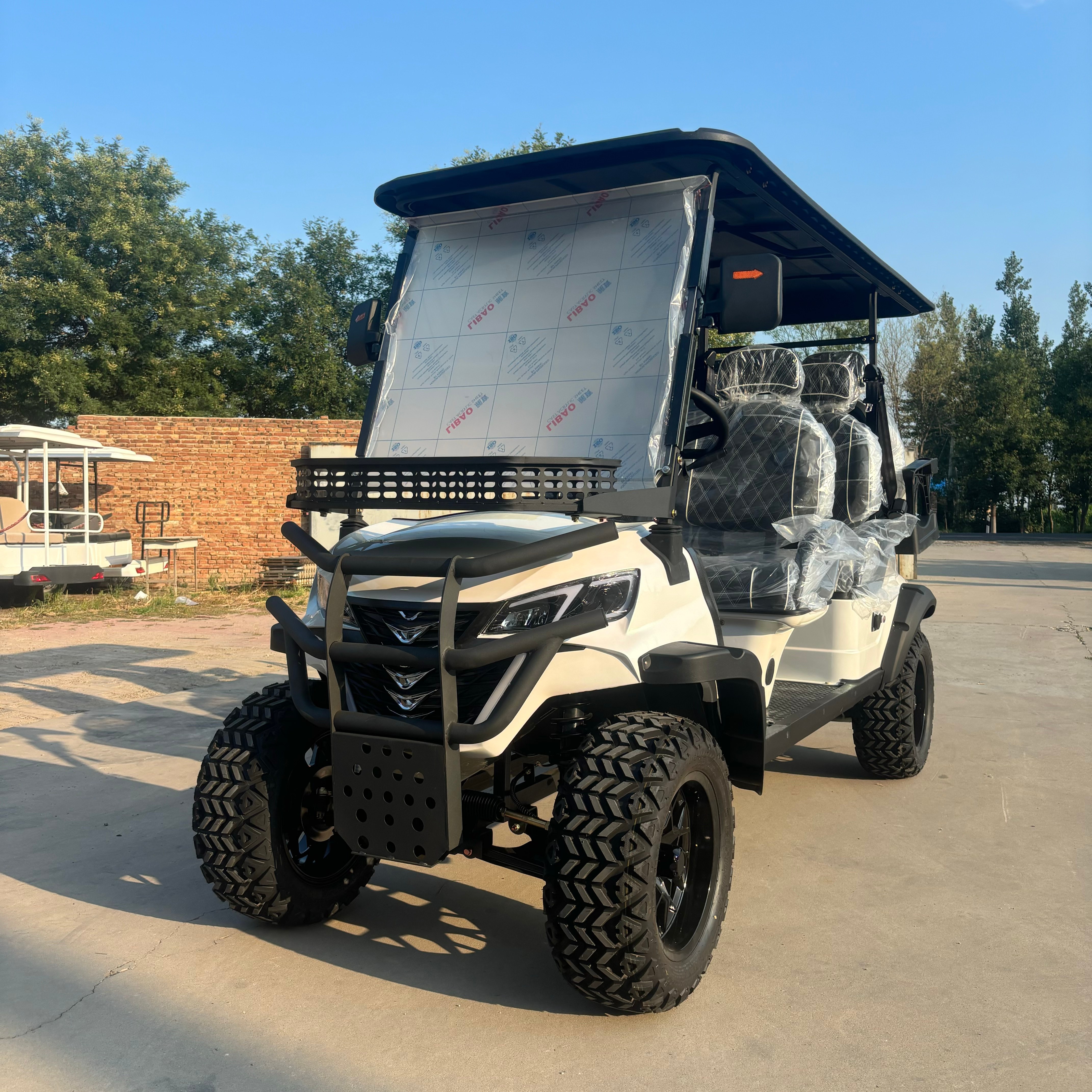 WELIFTRICH 2025 Off-Road Electric Golf Cart 6-Seater Hunting Cart with Lithium Battery