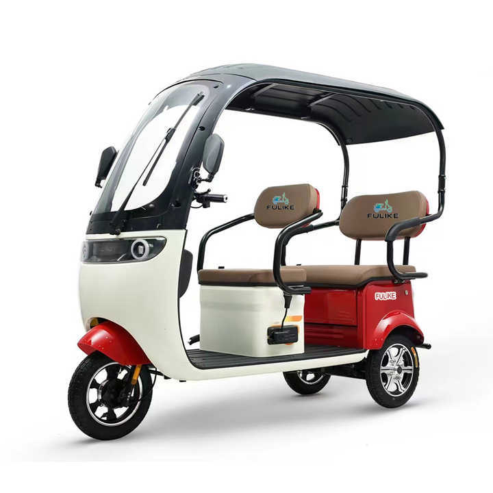FULIKE Classic Design 3 Wheel Electric Mobility Scooter Trike Tricycle With Roof