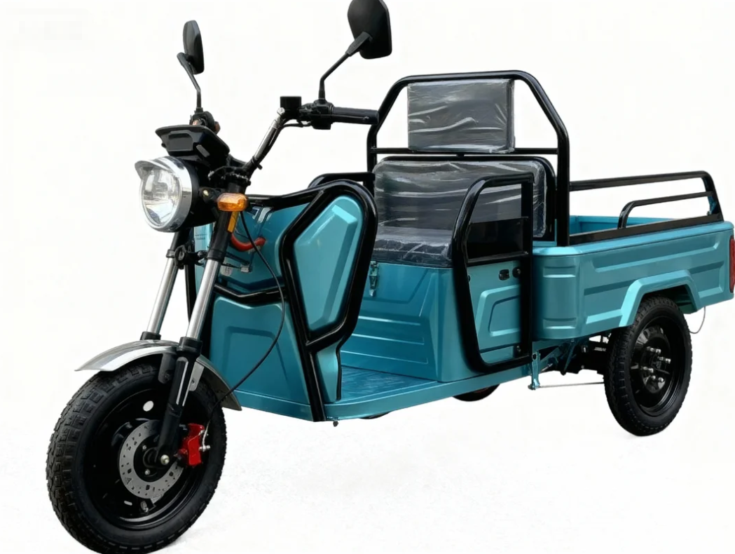 Mini Electric Tricycle