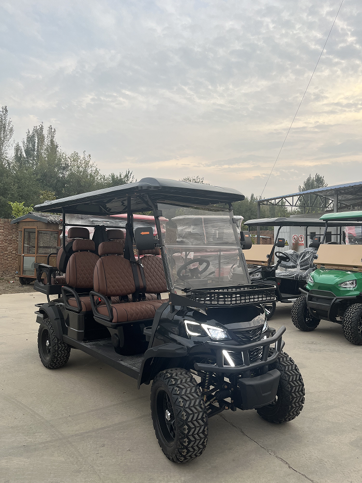 WELIFTRICH 2+4 4 6 Seats 6 Seater Lifted 14 Inches Big off Road Tires Street Legal 72V Lithium Battery Electric Push Golf Cart