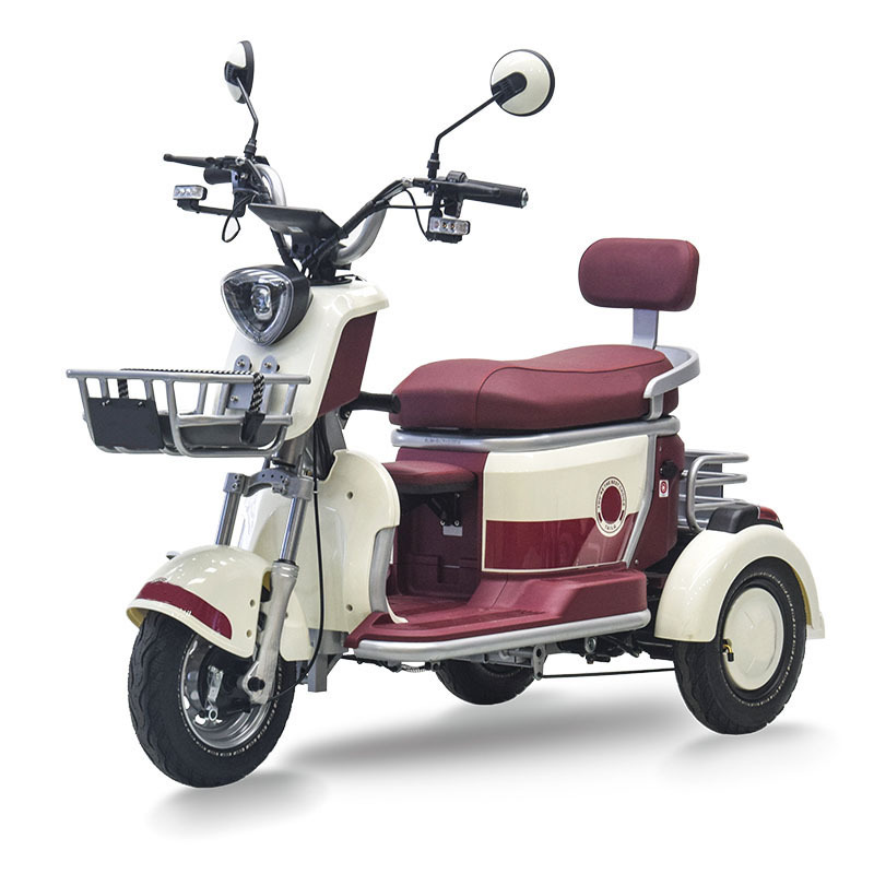 Electric Tricycle Foldable Passenger Trike