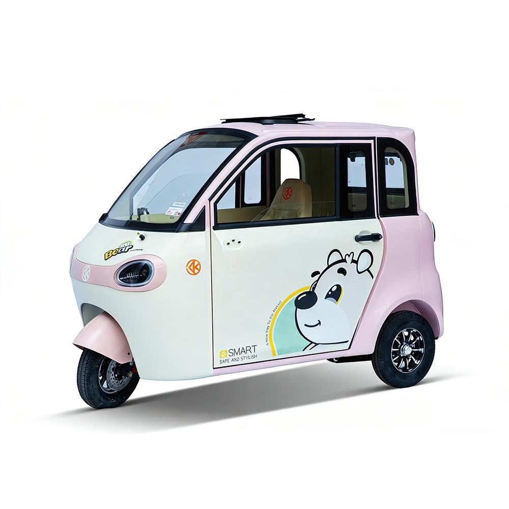 Cheap Car High Quality 800W  Electric Small Car Mini Electric-tricycle 2025 for Adult From China