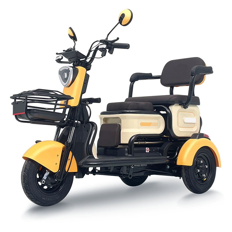 Electric Tricycle Foldable Passenger Trike