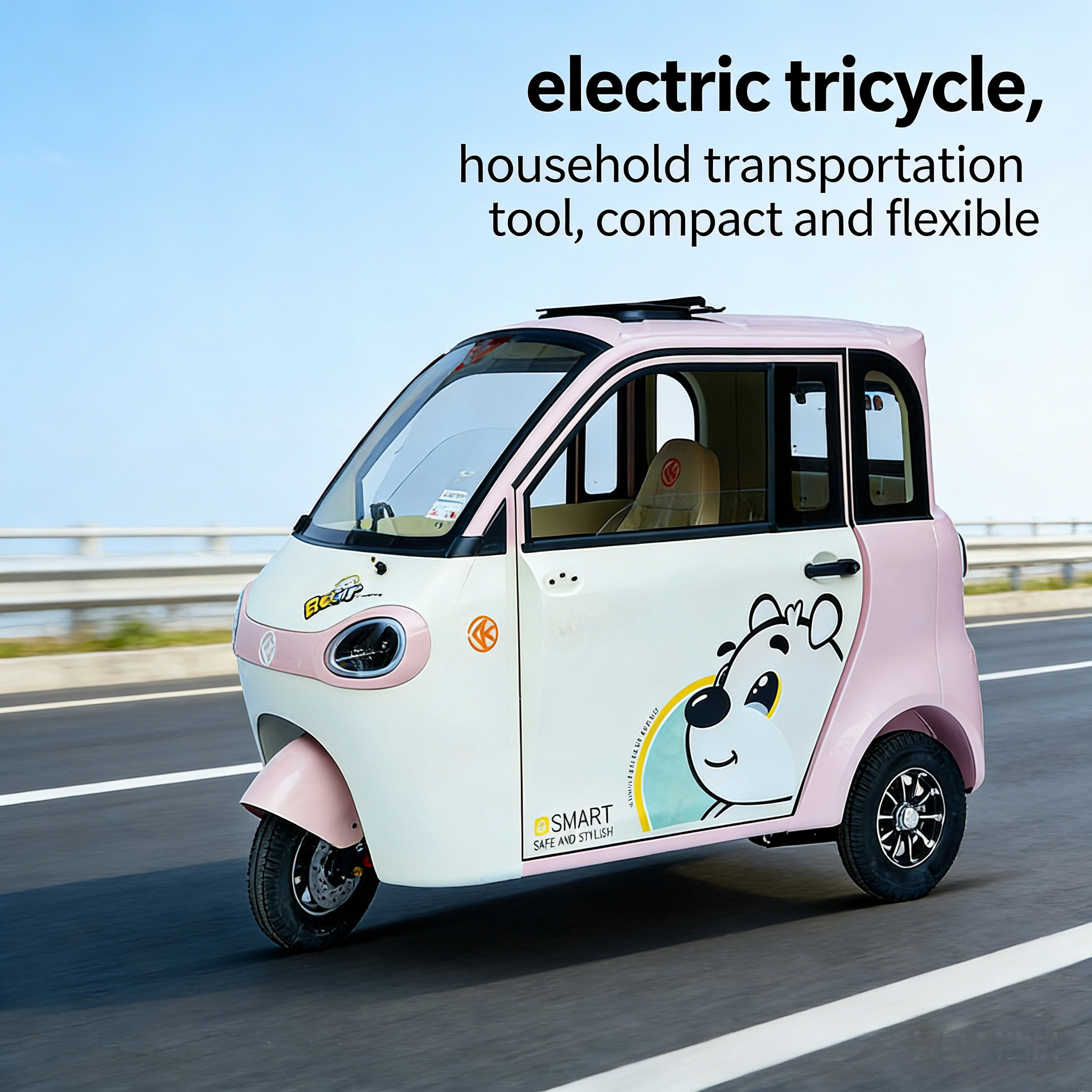 Cheap Car High Quality 800W  Electric Small Car Mini Electric-tricycle 2025 for Adult From China