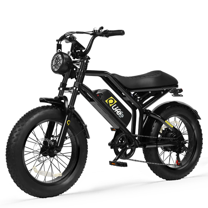 Qlife Spark 20 Inch 48V15.6Ah Dual Supsension Fat Tire Mountain E Bike for Adults