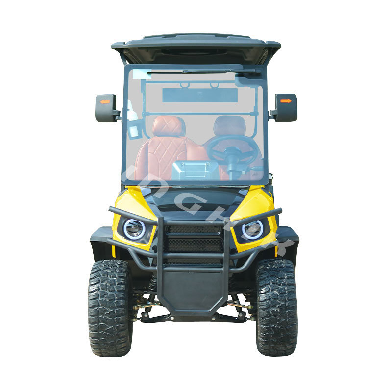 Aluminium Frame 2 Seats Electric Car Hunting Golf Cart Electric Golf Scooter Off Road Golf Cart Electric Vehicle