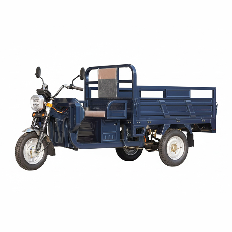 3-Wheel Cargo Tricycle for Reliable Short-Distance Heavy Duty All Terrain Safe Stable Delivery Cargo Tricycle