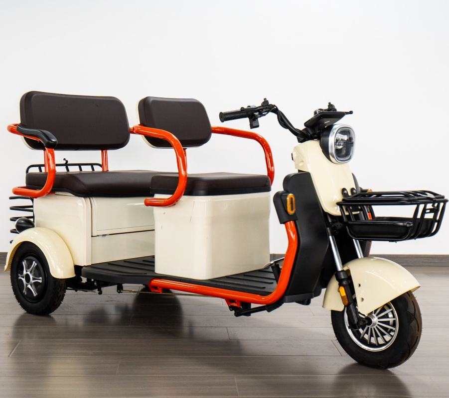 2025 Factory Quality Electric Trike for Adults Modern Style Electric Bicycle with Fat Tire Electric Tricycle