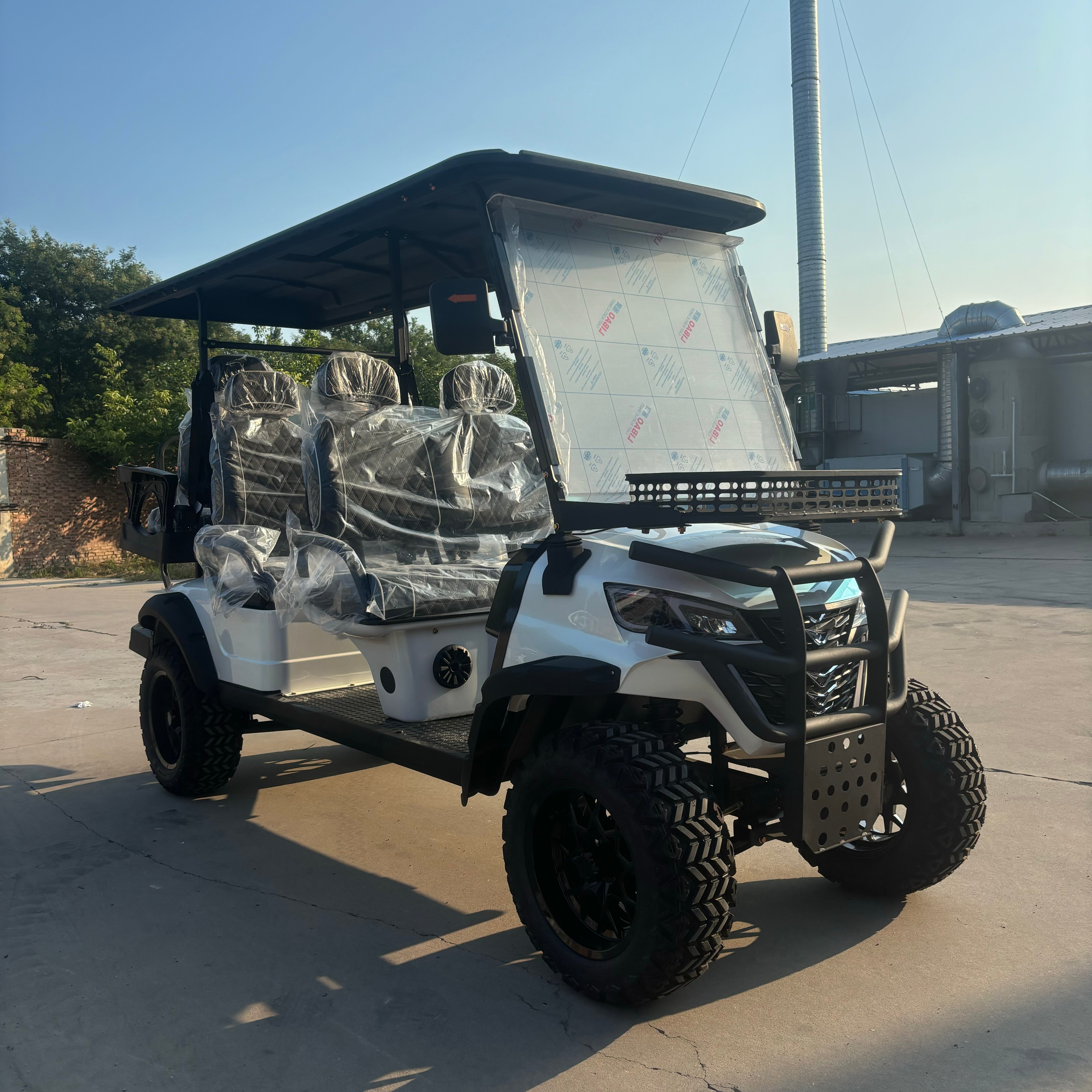 WELIFTRICH 2025 Off-Road Electric Golf Cart 6-Seater Hunting Cart with Lithium Battery