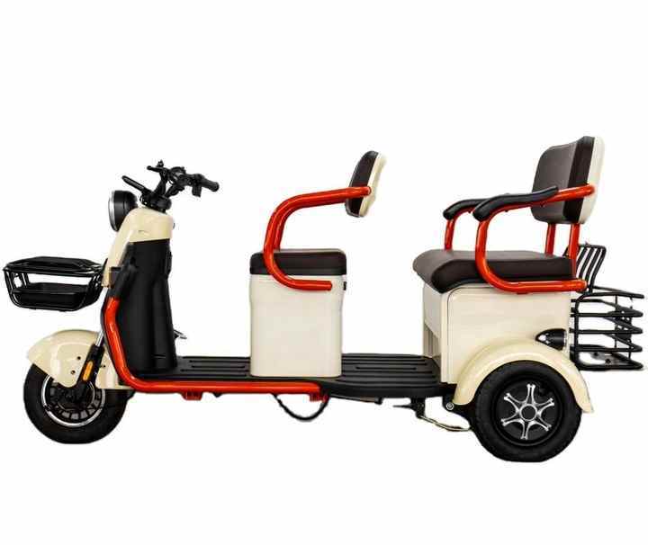2025 Factory Quality Electric Trike for Adults Modern Style Electric Bicycle with Fat Tire Electric Tricycle