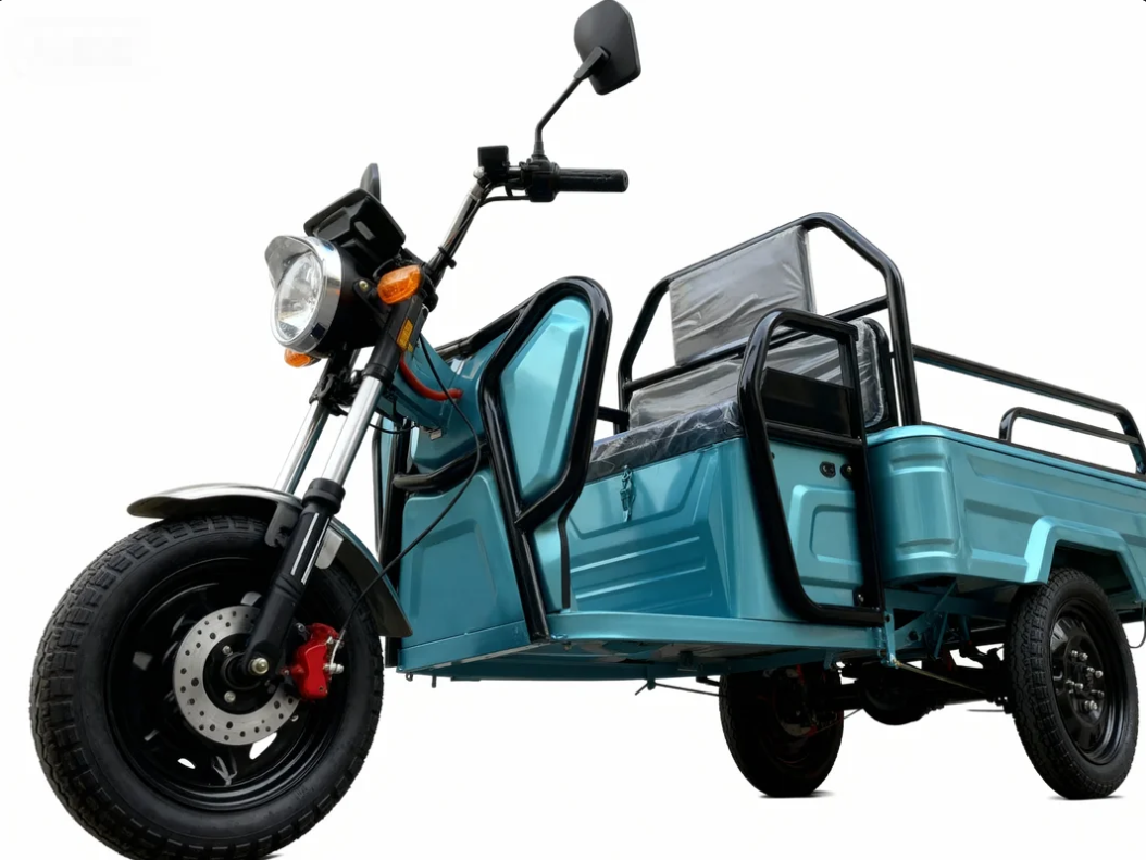 Mini Electric Tricycle