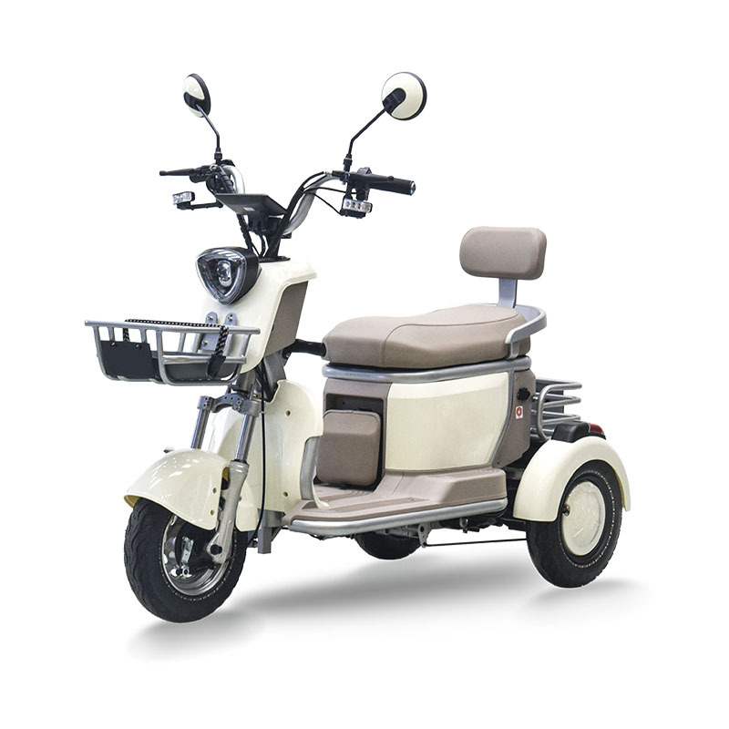 Electric Tricycle Foldable Passenger Trike