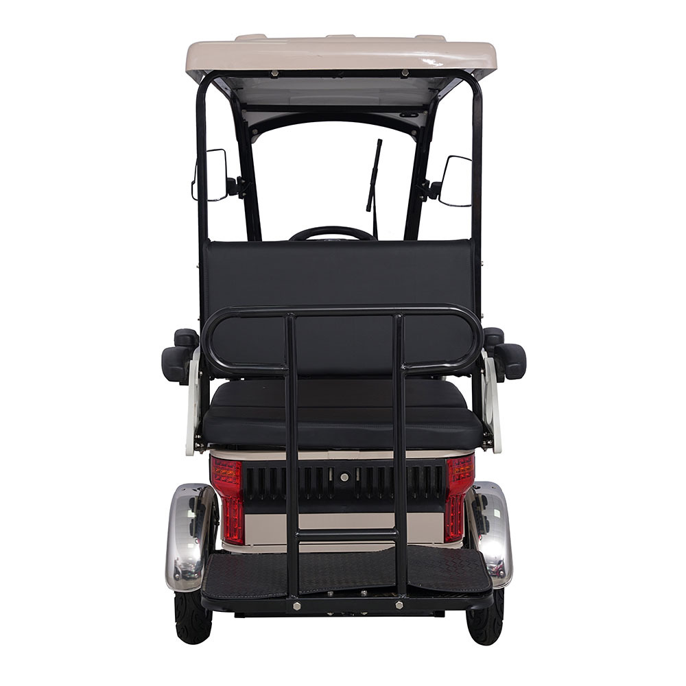 Holladay 800W Electric 6-seater Quadricycle 10 Inch Electric Quadricycle Climbing 40km Range Electric Passenger Vehicle