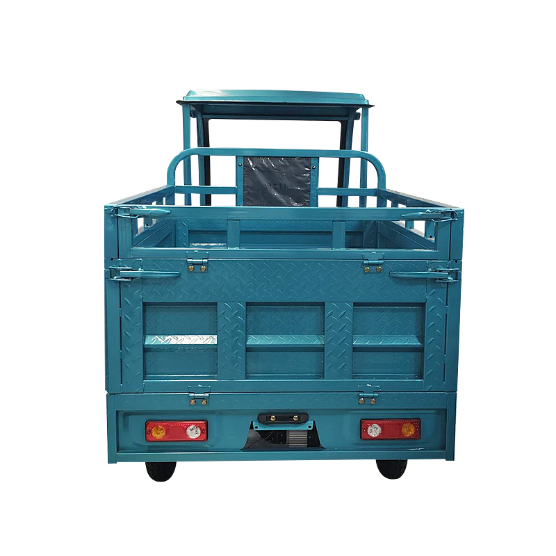 Keyu Bulk Purchases Cheap Thickened Cargo Hold 3 Wheel Enclosed 800w Cargo Electric Tricycle