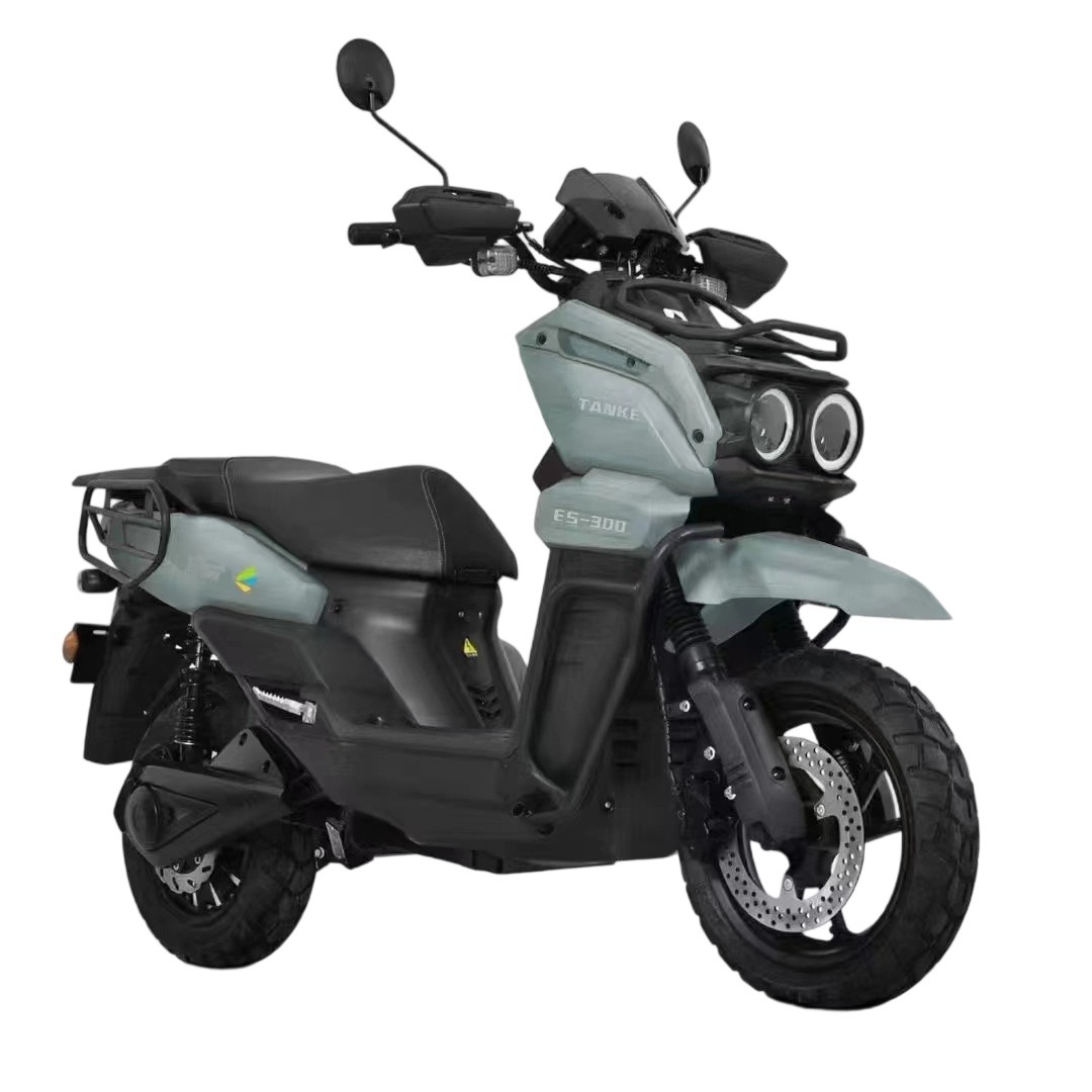 Paige 2000W 3000W 5000W Ev Motorbike High-Speed Electric Motorcycle for Long-Distance Vehicle Scooter Adult Electric Bike