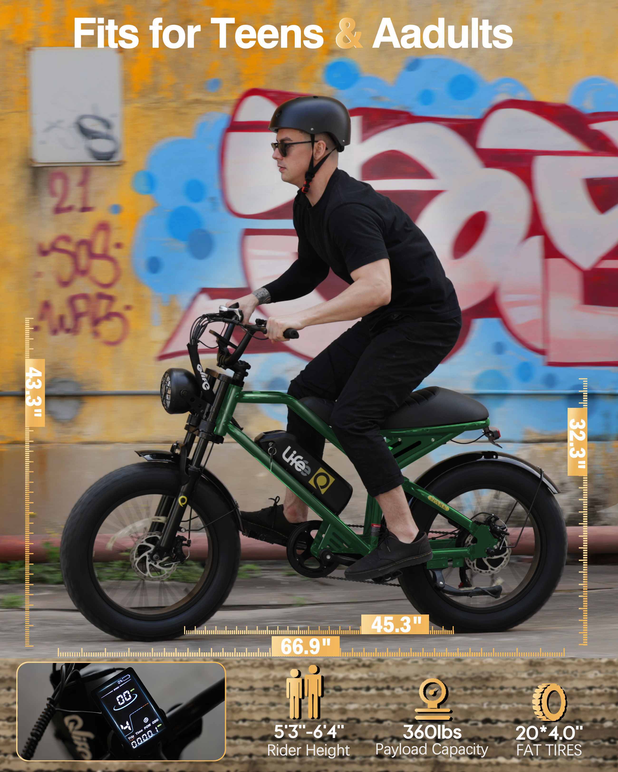 Qlife Spark 20 Inch 48V15.6Ah Dual Supsension Fat Tire Mountain E Bike for Adults