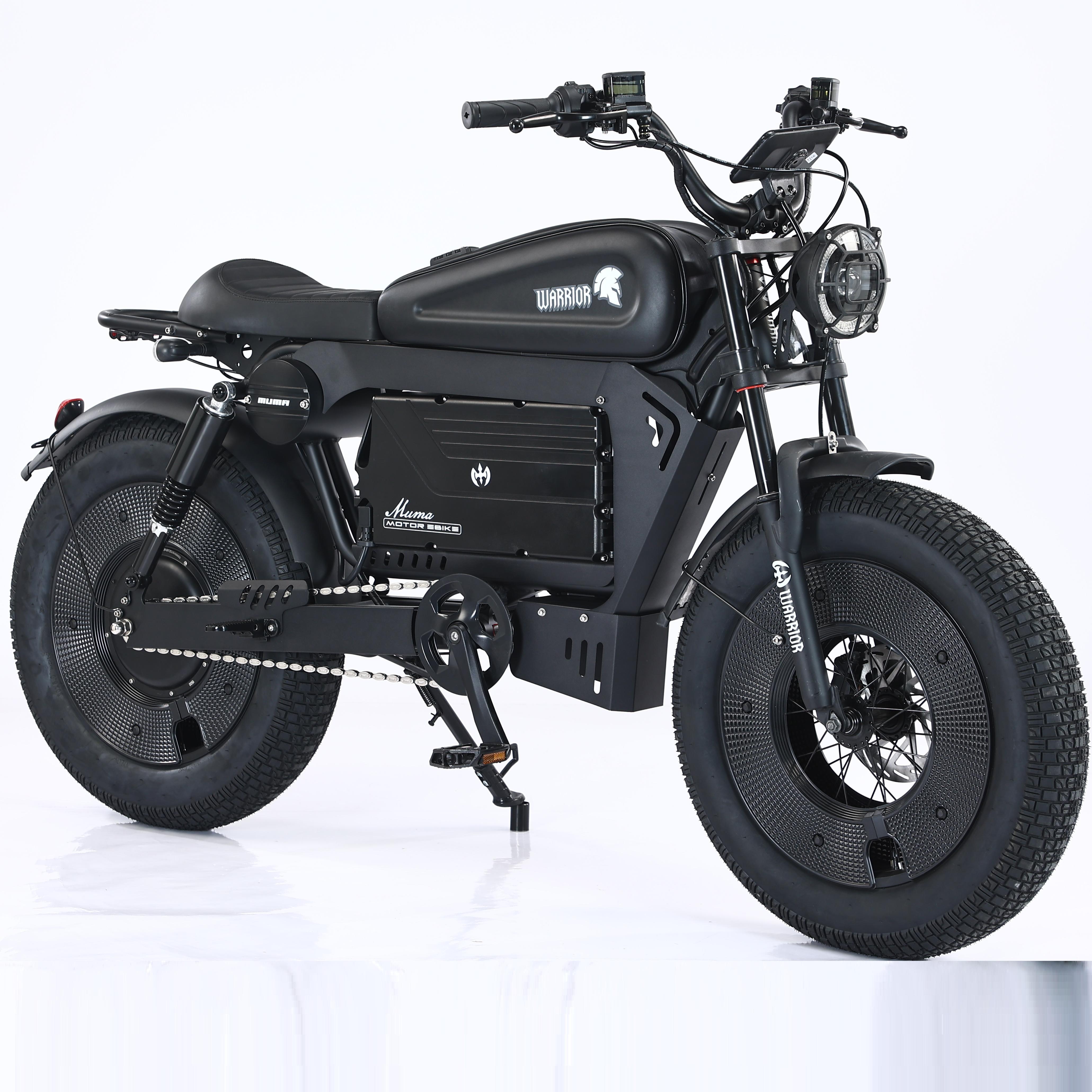 HCBK-SS10 3000W for US / 250W for EU  Full Suspension Black Warrior Ebike Fat Tire 20 Inch Electric Bicycle