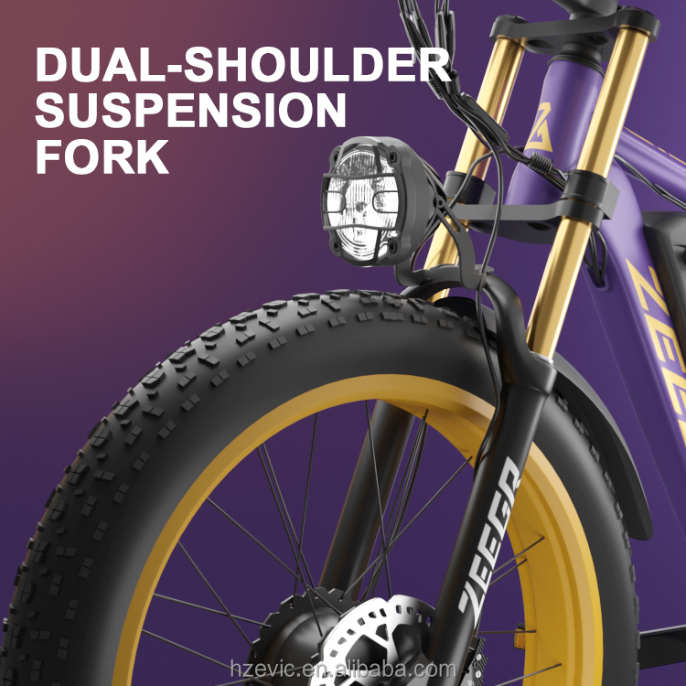 ELECTR BIKE Adult 48V Dual Motor Ebike Boombike Fast Electric Bicycle 2000w E Bike Fat Tire Electric Bike