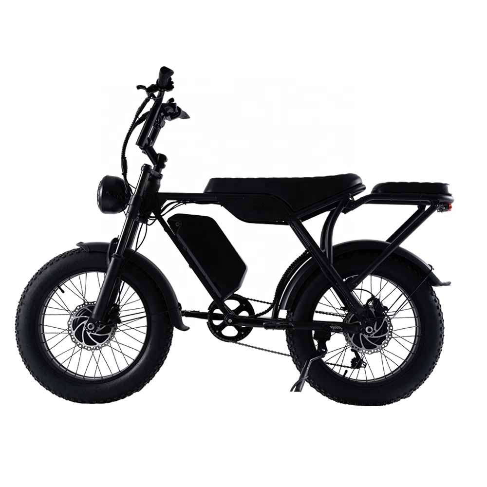 Electric Bike Man Ebike Mountain Bike Bicycle High-carbon Steel 60V 30Ah Lthium Battery 48V 2000W Dual Brushless Motor
