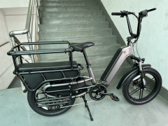 Grey E-bike with rear seat cushion,safety bars,footpegs