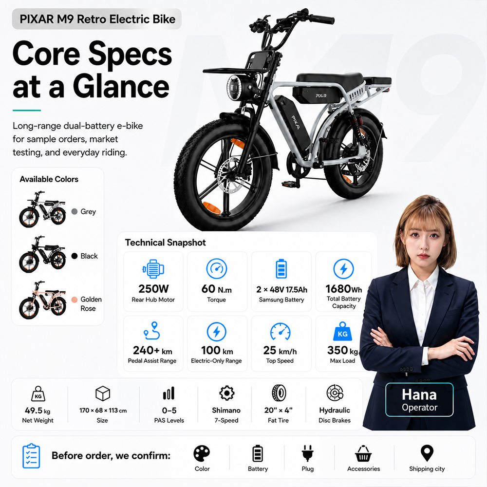 Long Range Electric Bicycle 48V 250W 20 X 4.0 Fat Tire Dual Suspension Cargo Multi-purpose Bike