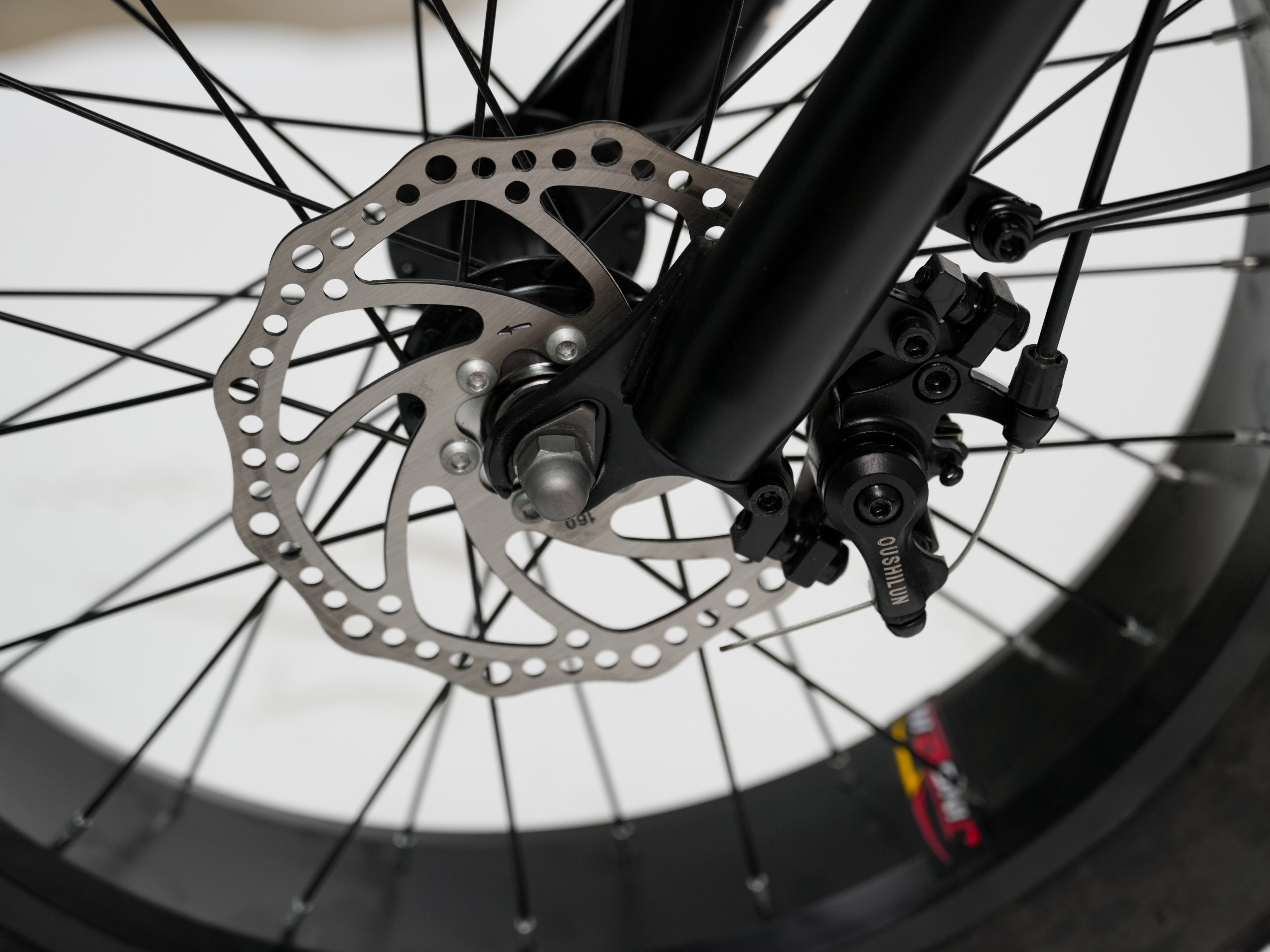 Electric Bicycle High Speed Steel Frame 20 Inch Snow Tire 15AH Lithium Battery Brushless Motor 500W Electronic