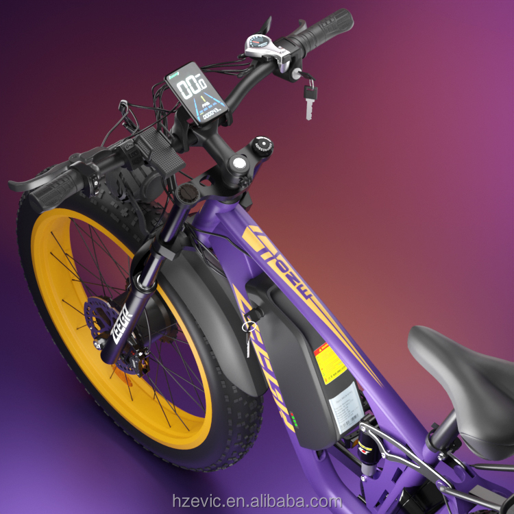 ELECTR BIKE Adult 48V Dual Motor Ebike Boombike Fast Electric Bicycle 2000w E Bike Fat Tire Electric Bike