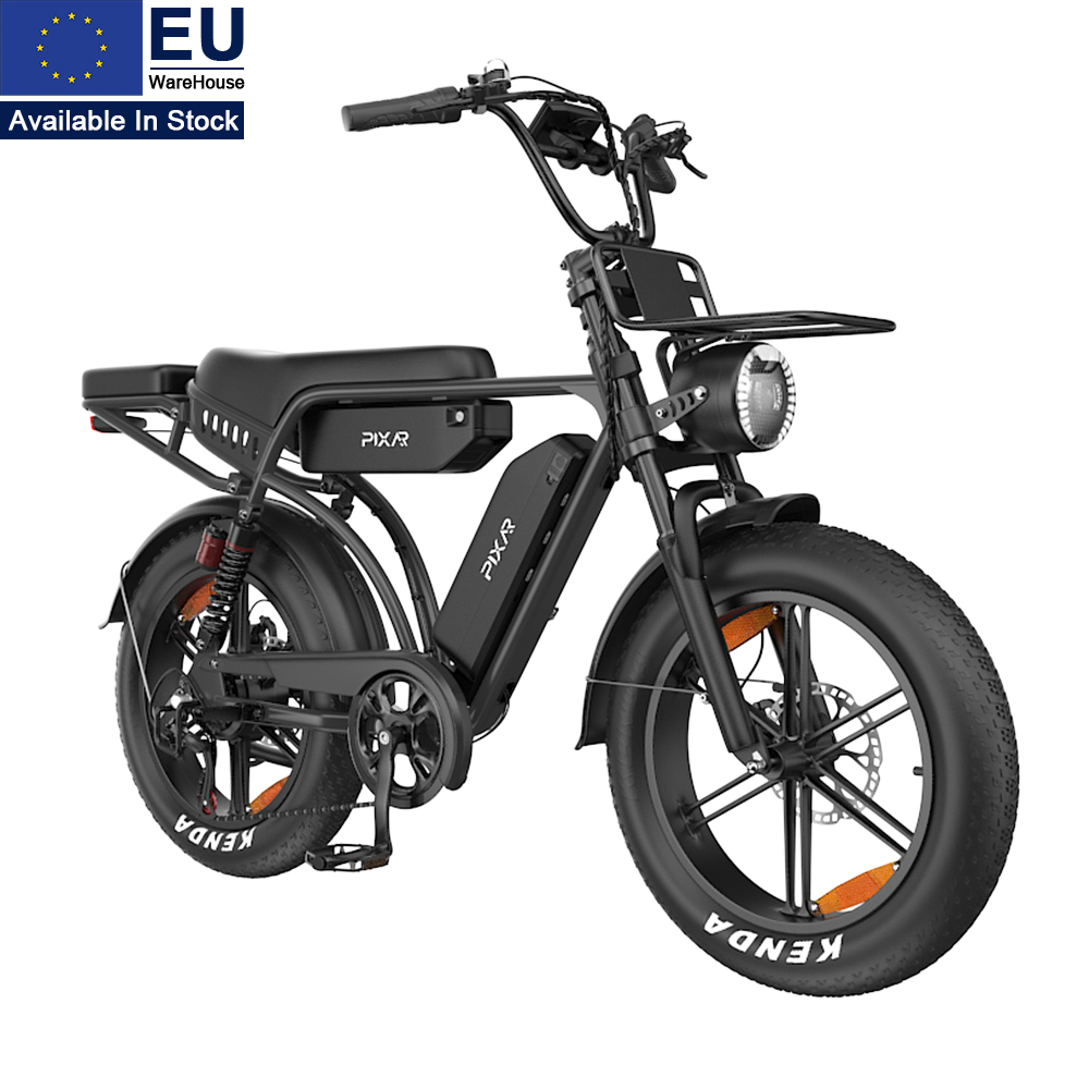 Long Range Electric Bicycle 48V 250W 20 X 4.0 Fat Tire Dual Suspension Cargo Multi-purpose Bike