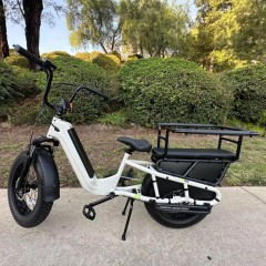 White E-bike with rear seat cushion,safety bars,footpegs