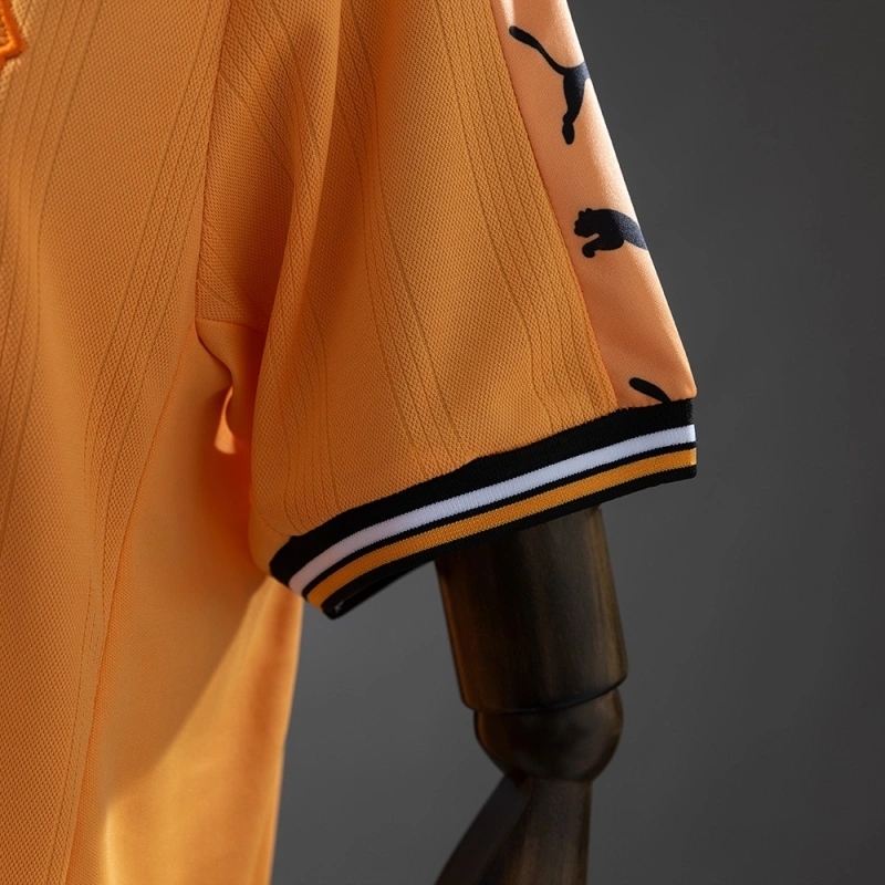 1998-99 WOLVES HOME