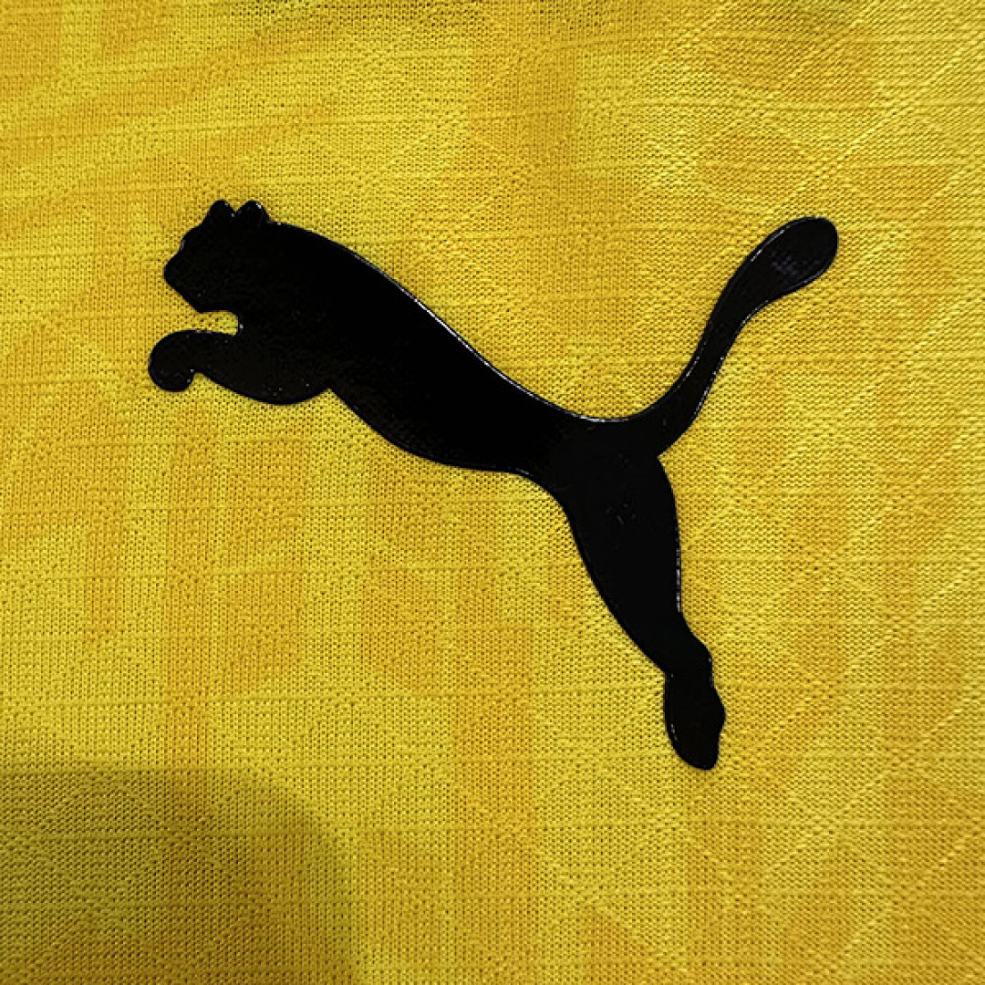 Dortmund 2026/27 home player version