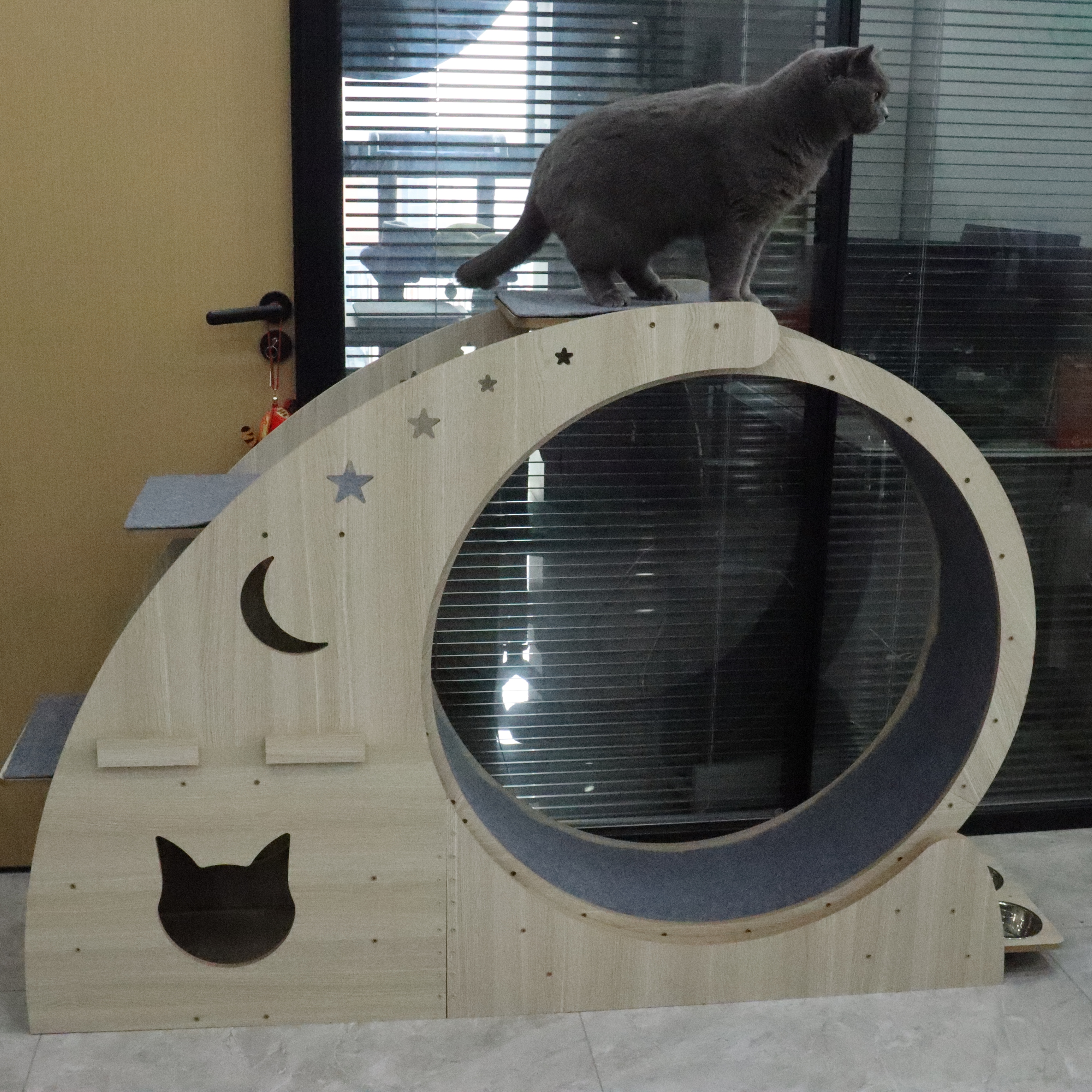 RL2816 Relipet LunaRun Pro 4-in-1 Cat Exercise Wheel | Cat Treadmill & Scratcher