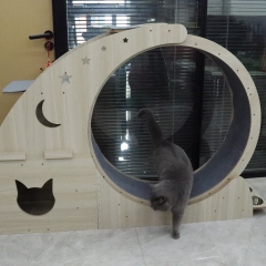 RL2816 Relipet LunaRun Pro 4-in-1 Cat Exercise Wheel | Cat Treadmill & Scratcher