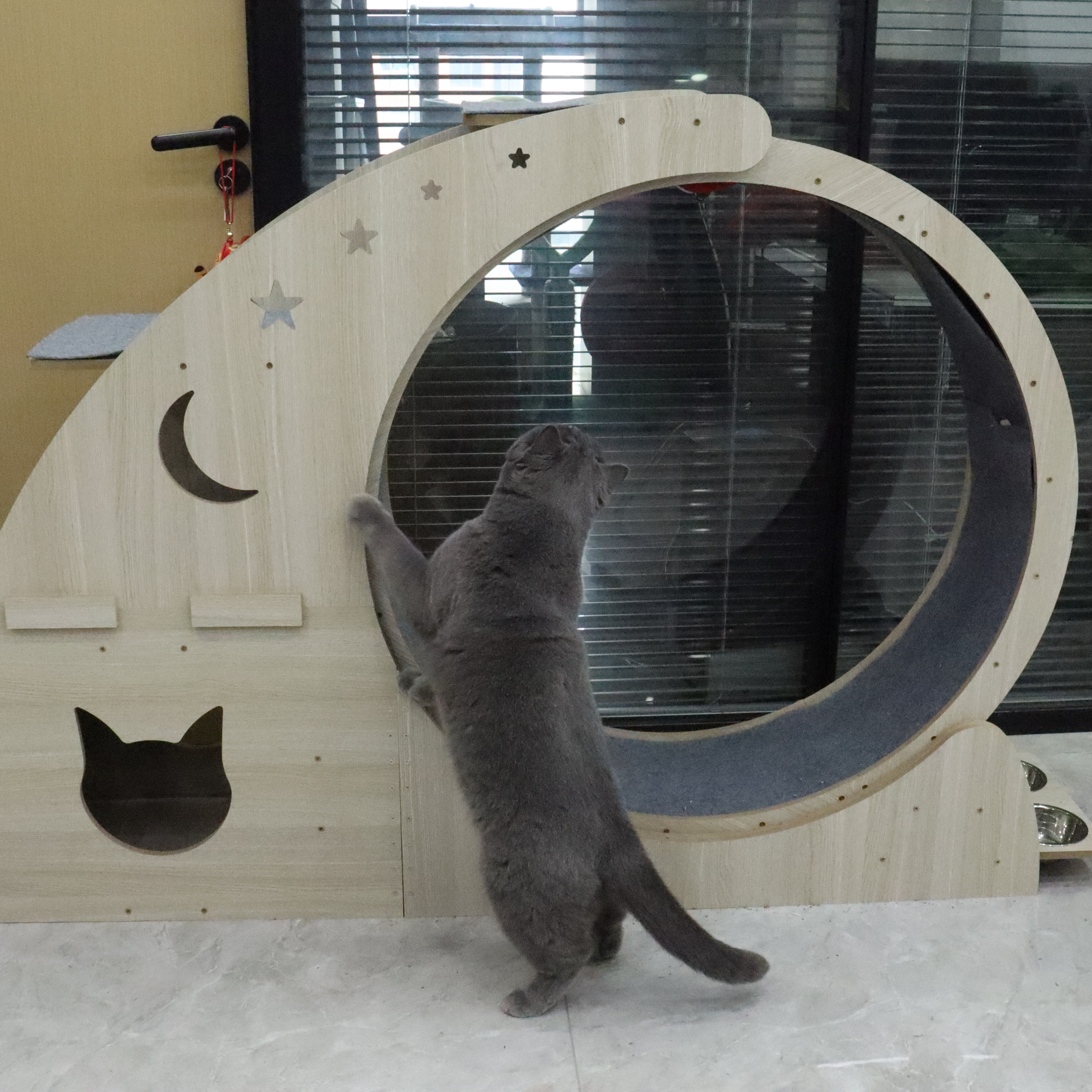 RL2816 Relipet LunaRun Pro 4-in-1 Cat Exercise Wheel | Cat Treadmill & Scratcher