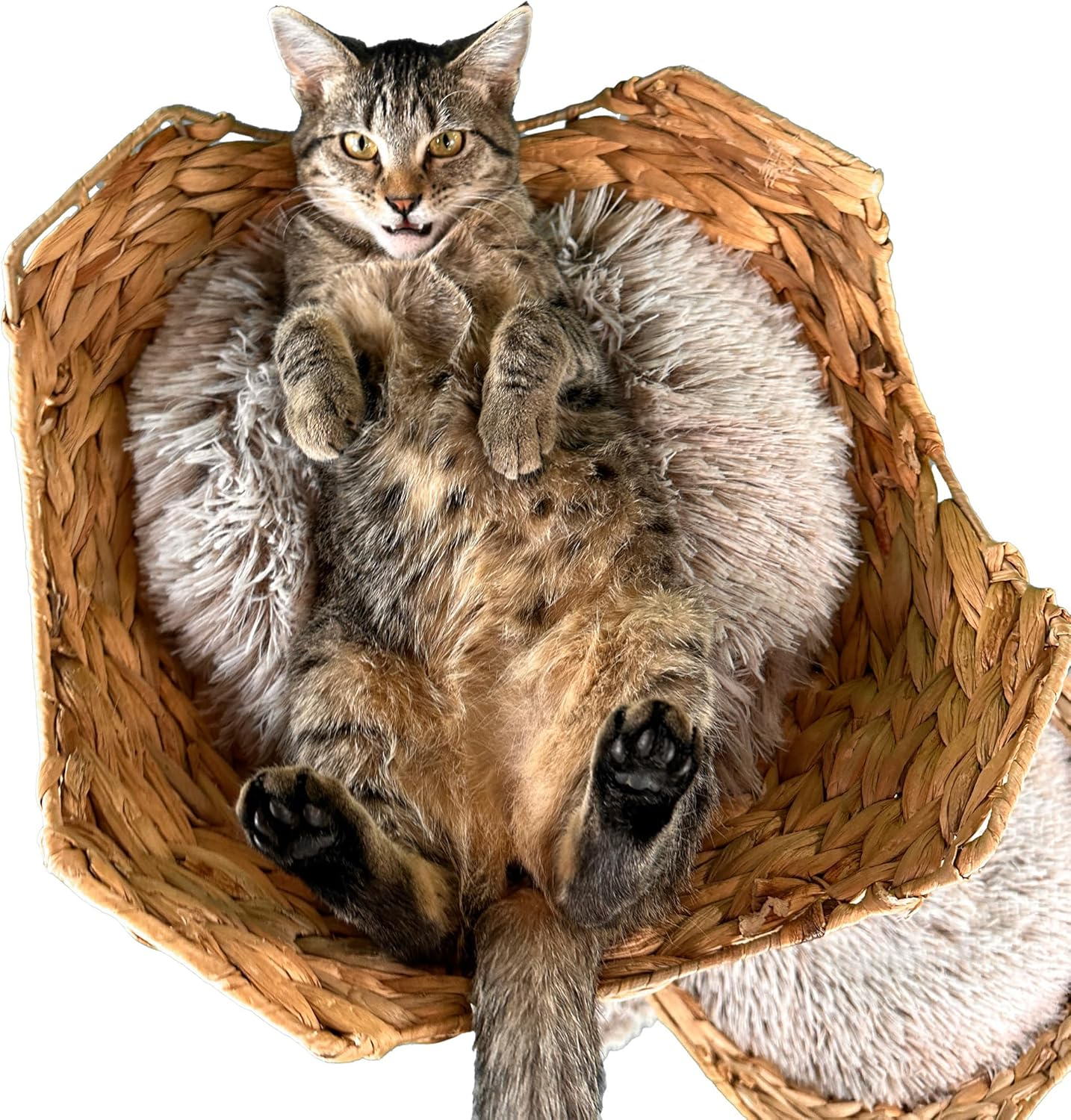 Relipet RL2521V1 Natural Rattan & Plush Cat Tree Condo